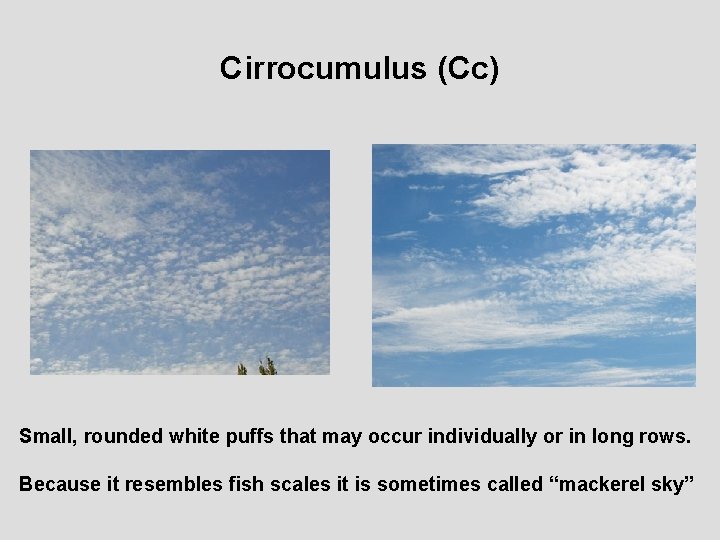 Cirrocumulus (Cc) Small, rounded white puffs that may occur individually or in long rows.