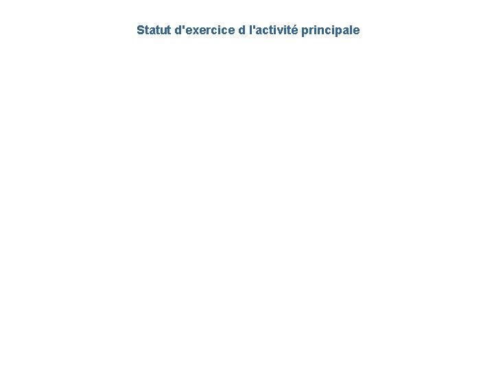 Statut d'exercice d l'activité principale 