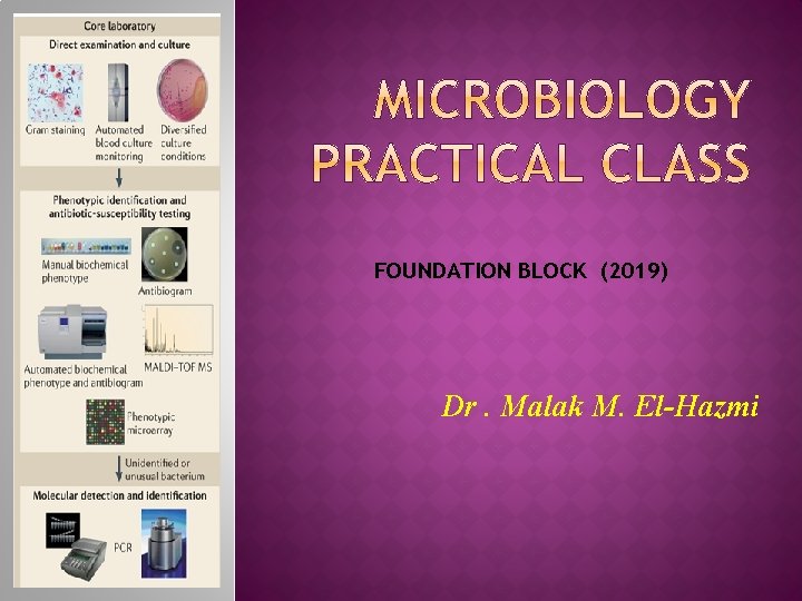 FOUNDATION BLOCK (2019) Dr. Malak M. El-Hazmi 