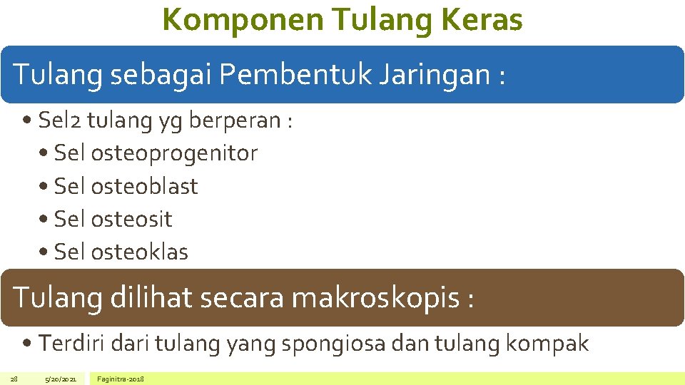 Komponen Tulang Keras Tulang sebagai Pembentuk Jaringan : • Sel 2 tulang yg berperan