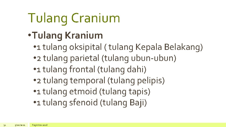 Tulang Cranium • Tulang Kranium • 1 tulang oksipital ( tulang Kepala Belakang) •