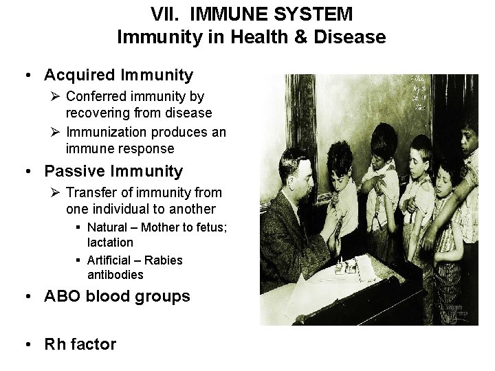 VII. IMMUNE SYSTEM Immunity in Health & Disease • Acquired Immunity Ø Conferred immunity