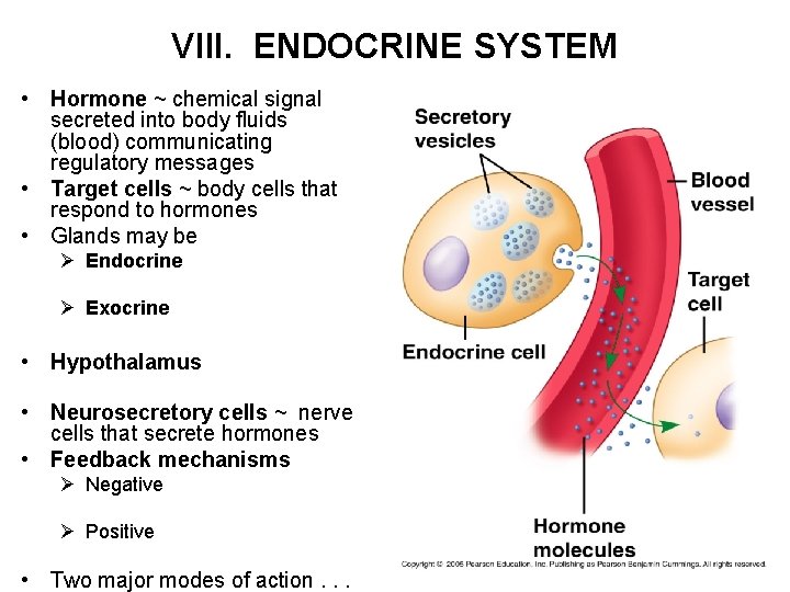 VIII. ENDOCRINE SYSTEM • Hormone ~ chemical signal secreted into body fluids (blood) communicating