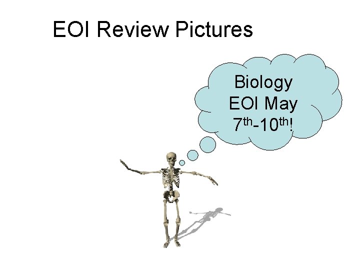 EOI Review Pictures Biology EOI May 7 th-10 th! 