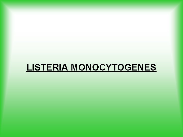 LISTERIA MONOCYTOGENES 