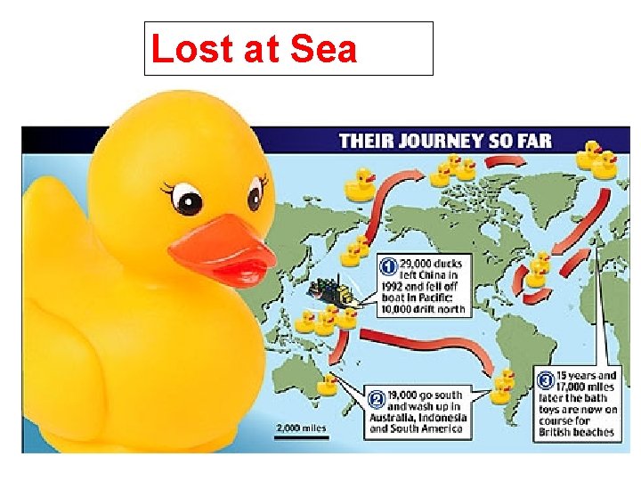 Lost at Sea 