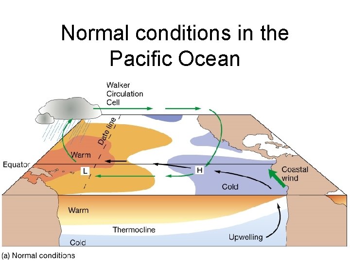 Normal conditions in the Pacific Ocean 