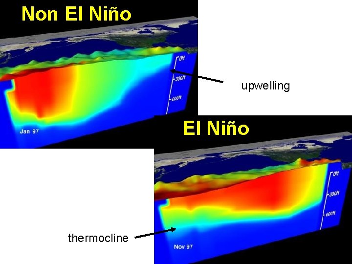 Non El Niño upwelling El Niño thermocline 