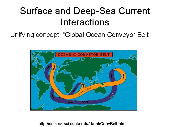 Surface and Deep-Sea Current Interactions Unifying concept: “Global Ocean Conveyor Belt” http: //seis. natsci.