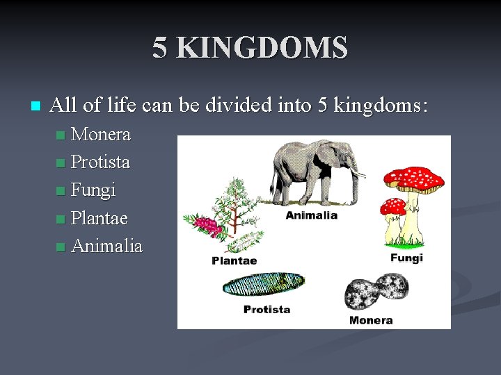 5 KINGDOMS n All of life can be divided into 5 kingdoms: Monera n