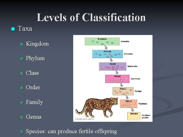 Levels of Classification n Taxa n Kingdom n Phylum n Class n Order n