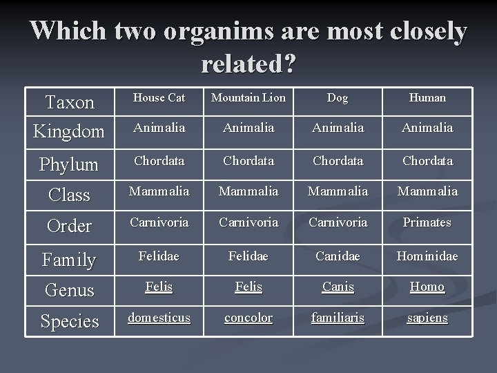 Which two organims are most closely related? Taxon Kingdom House Cat Mountain Lion Dog