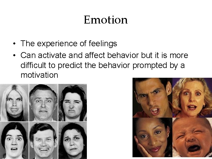 Emotion • The experience of feelings • Can activate and affect behavior but it
