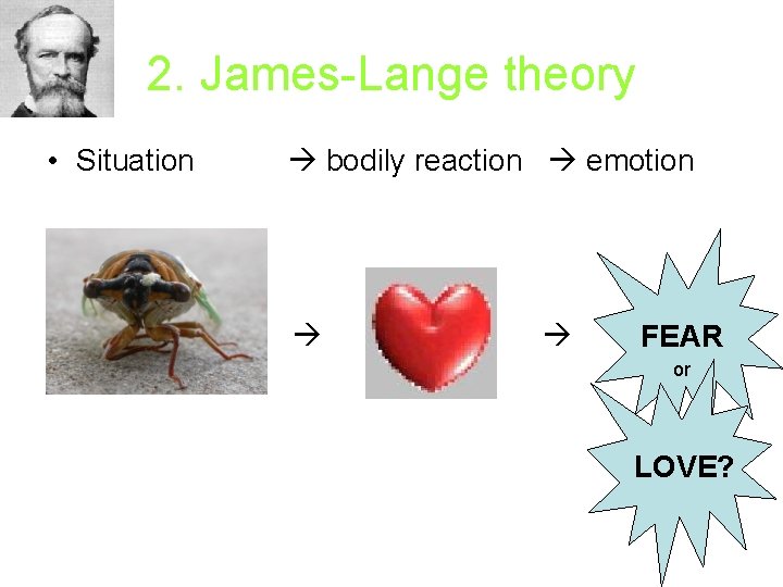 2. James-Lange theory • Situation bodily reaction emotion FEAR or LOVE? 