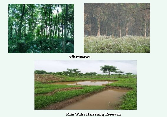 Afforestation Rain Water Harvesting Reservoir 