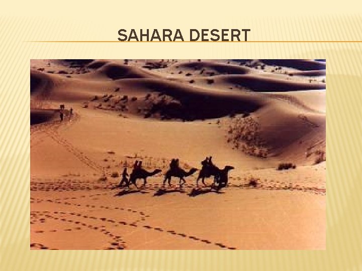SAHARA DESERT 