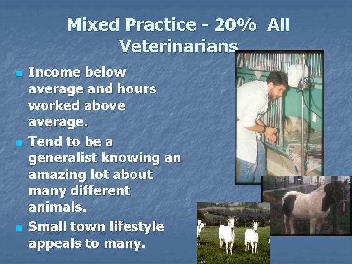 Mixed Practice - 20% All Veterinarians n n n Income below average and hours