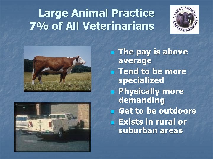 Large Animal Practice 7% of All Veterinarians n n n The pay is above