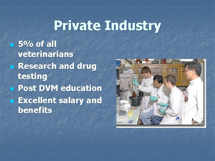 Private Industry n n 5% of all veterinarians Research and drug testing Post DVM