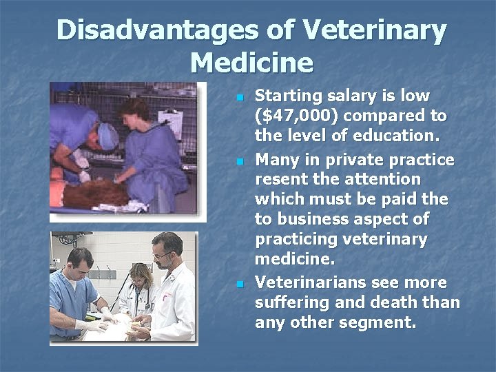 Disadvantages of Veterinary Medicine n n n Starting salary is low ($47, 000) compared