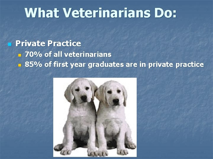 What Veterinarians Do: n Private Practice n n 70% of all veterinarians 85% of