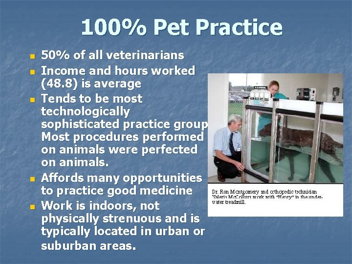 100% Pet Practice n n n 50% of all veterinarians Income and hours worked