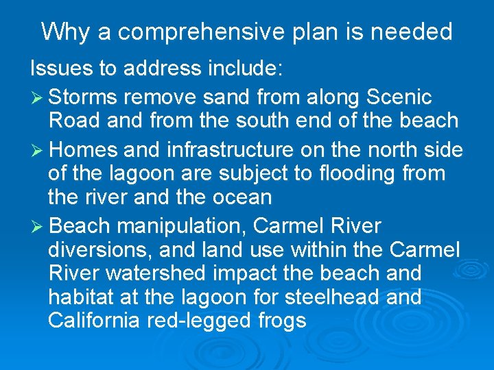 Why a comprehensive plan is needed Issues to address include: Ø Storms remove sand