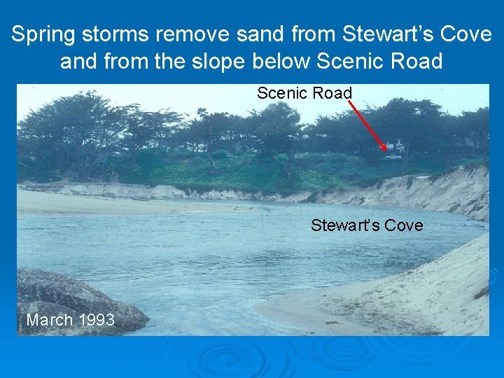 Spring storms remove sand from Stewart’s Cove and from the slope below Scenic Road