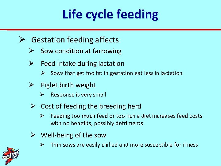 Life cycle feeding Ø Gestation feeding affects: Ø Sow condition at farrowing Ø Feed