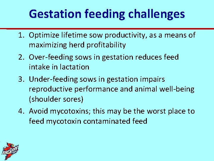 Gestation feeding challenges 1. Optimize lifetime sow productivity, as a means of maximizing herd