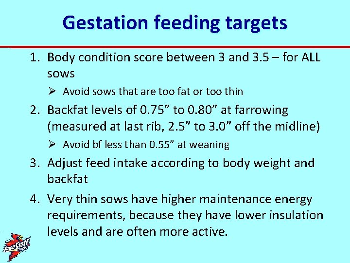 Gestation feeding targets 1. Body condition score between 3 and 3. 5 – for