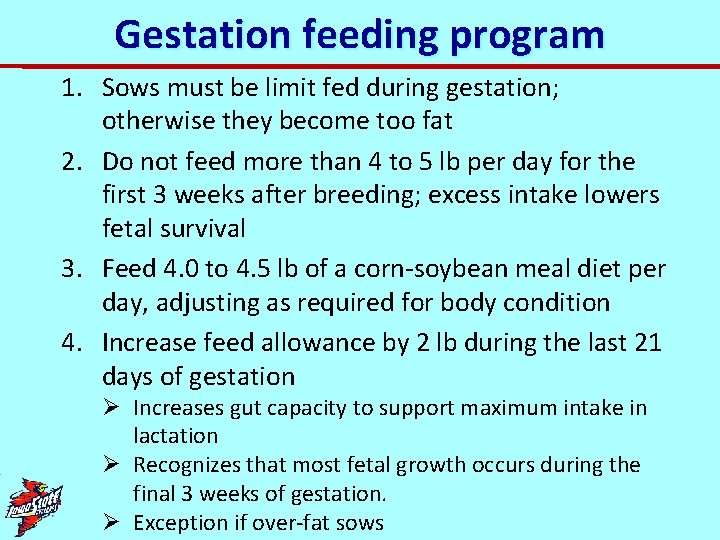 Gestation feeding program 1. Sows must be limit fed during gestation; otherwise they become