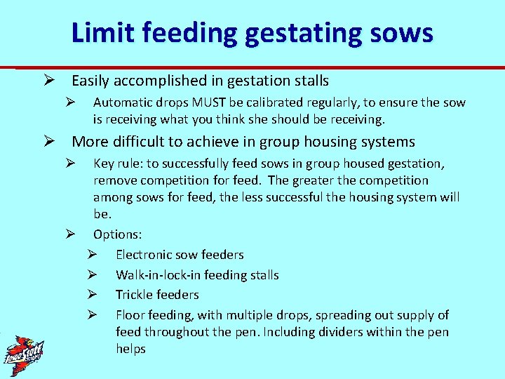 Limit feeding gestating sows Ø Easily accomplished in gestation stalls Ø Automatic drops MUST