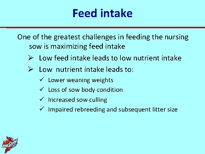 Feed intake One of the greatest challenges in feeding the nursing sow is maximizing