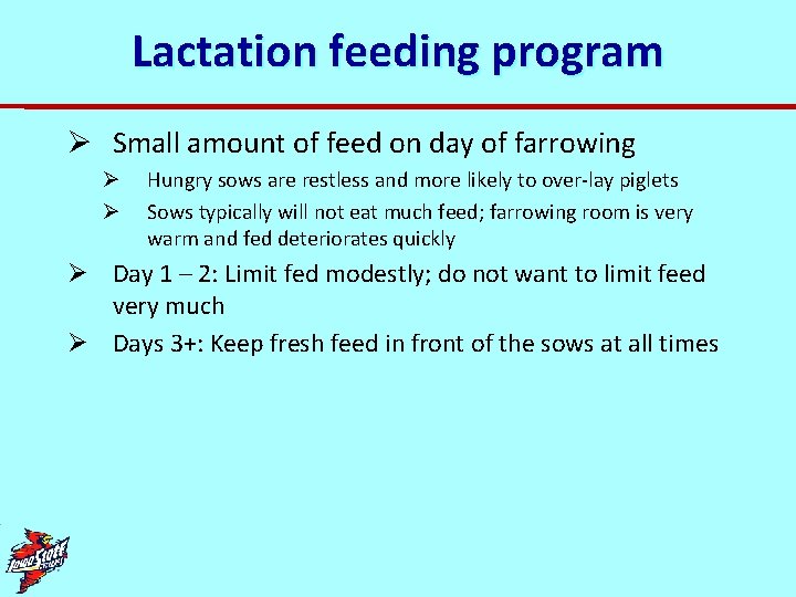 Lactation feeding program Ø Small amount of feed on day of farrowing Ø Ø