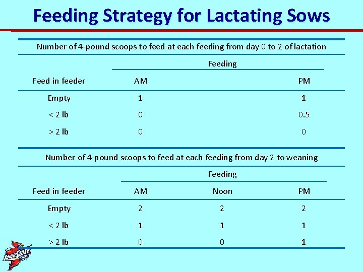 Feeding Strategy for Lactating Sows Number of 4 -pound scoops to feed at each