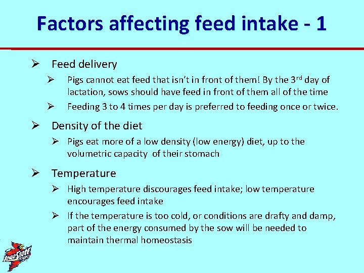 Factors affecting feed intake - 1 Ø Feed delivery Ø Ø Pigs cannot eat