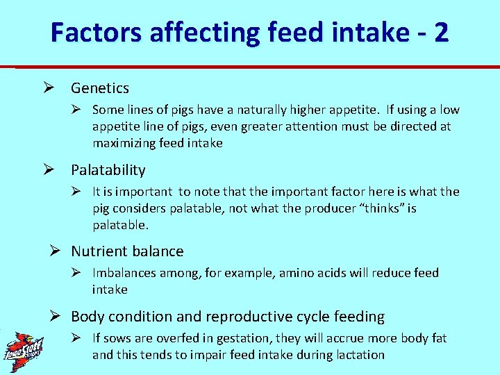 Factors affecting feed intake - 2 Ø Genetics Ø Some lines of pigs have