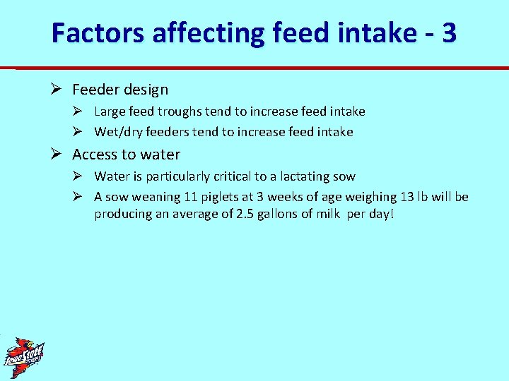 Factors affecting feed intake - 3 Ø Feeder design Ø Large feed troughs tend