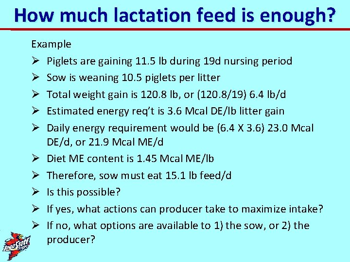 How much lactation feed is enough? Example Ø Piglets are gaining 11. 5 lb