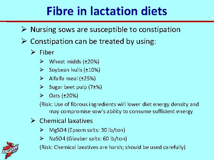 Fibre in lactation diets Ø Nursing sows are susceptible to constipation Ø Constipation can