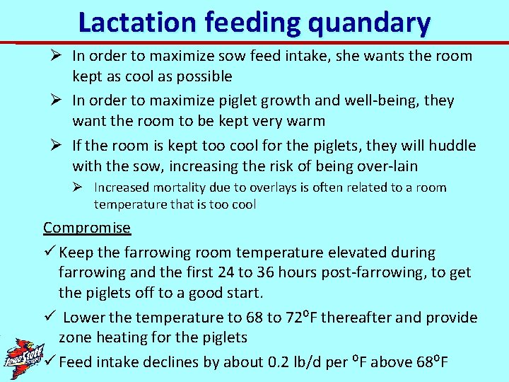 Lactation feeding quandary Ø In order to maximize sow feed intake, she wants the