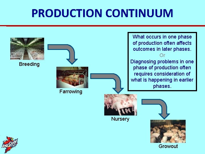 PRODUCTION CONTINUUM What occurs in one phase of production often affects outcomes in later