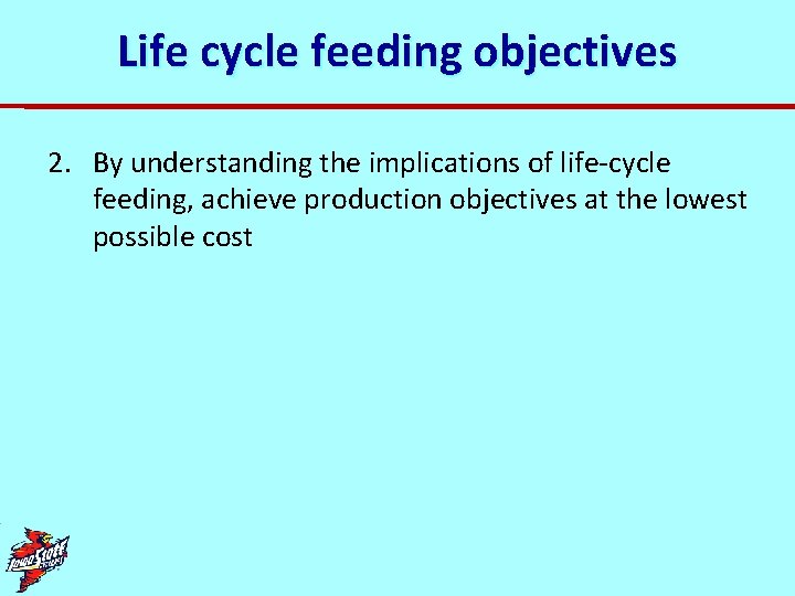 Life cycle feeding objectives 2. By understanding the implications of life-cycle feeding, achieve production