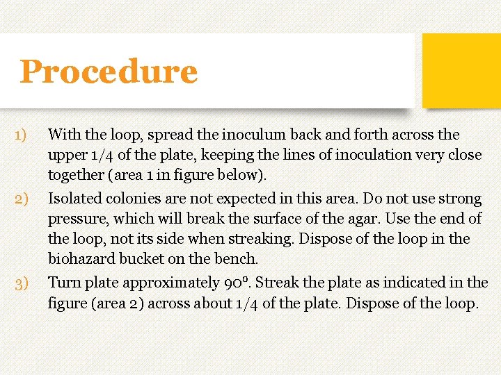 Procedure 1) With the loop, spread the inoculum back and forth across the upper