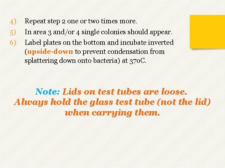 4) Repeat step 2 one or two times more. 5) In area 3 and/or