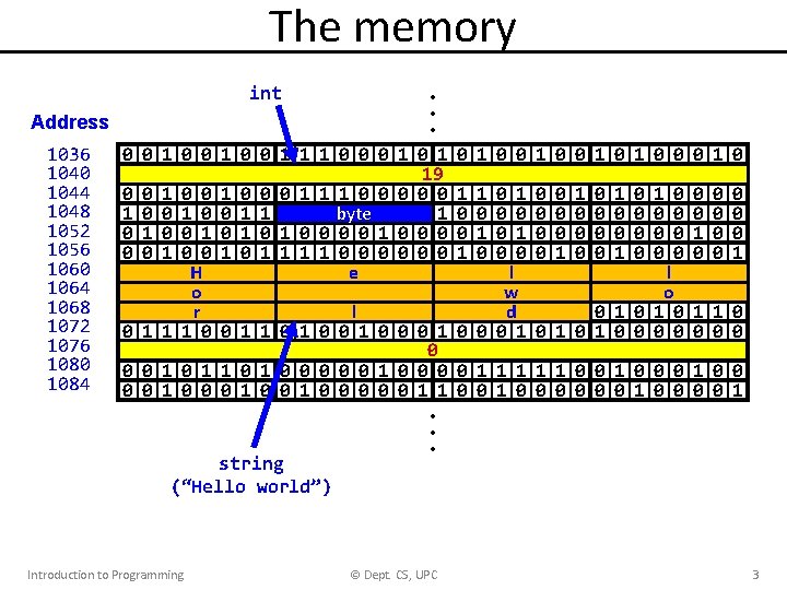 The memory int • • • Address 1036 1040 1044 1048 1052 1056 1060