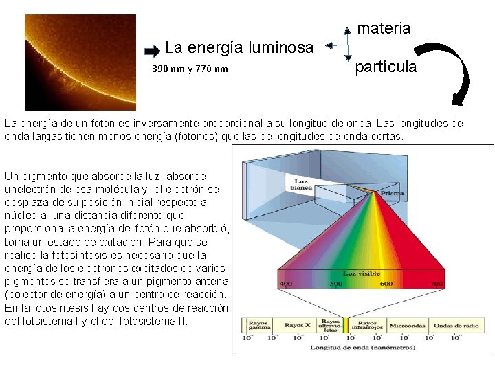 materia La energía luminosa 390 nm y 770 nm partícula La energía de un