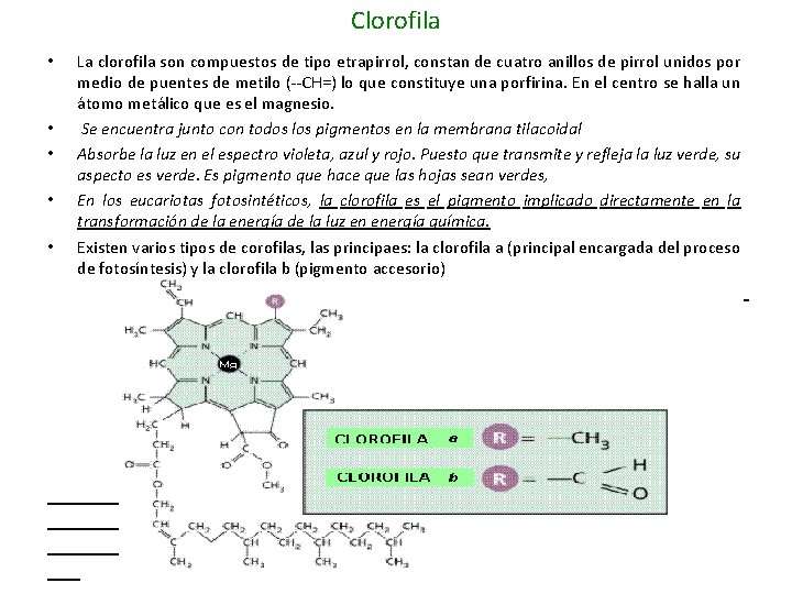Clorofila • • • La clorofila son compuestos de tipo etrapirrol, constan de cuatro