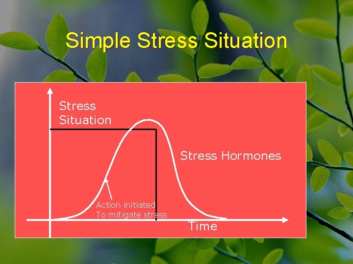 Simple Stress Problem Understanding Stress Its Management Dr Amitabh Saraf DIYA